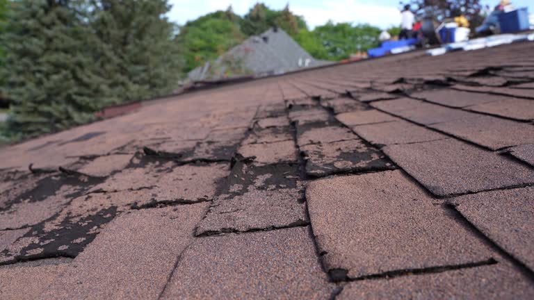 Best Rubber Roofing (EPDM, TPO)  in Weston, WV