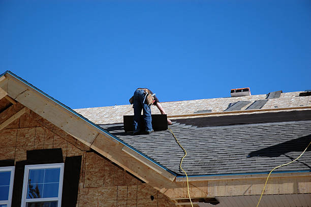 Best Roof Moss and Algae Removal  in Weston, WV