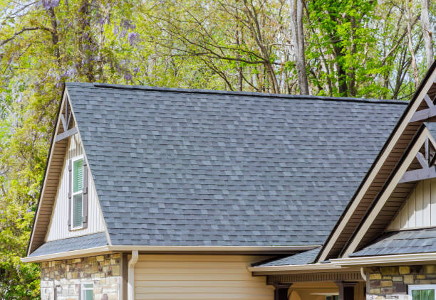 Best Roof Maintenance and Cleaning  in Weston, WV