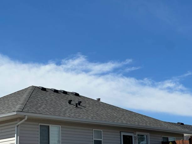 Best Roof Insulation Installation  in Weston, WV